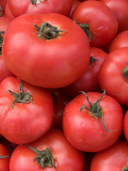 Groenten tomaten rood — Stockfoto