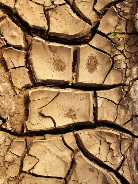 裂缝地面粘土 — 图库照片
