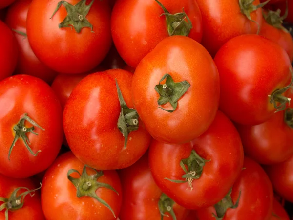 stock image Vegetables tomatoes