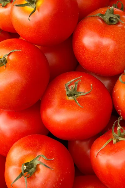 stock image Vegetables tomatoes red