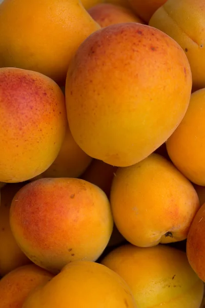 Свіжі фрукти абрикоси — стокове фото