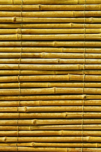 Bambus abstrakten Hintergrund — Stockfoto