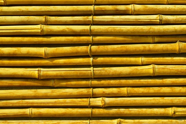 Fondo abstracto de bambú — Foto de Stock
