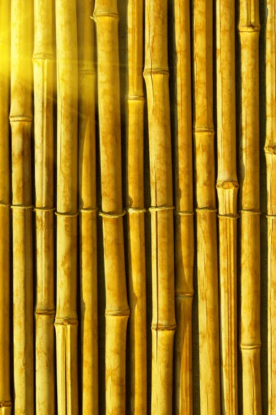 Бамбуковый абстрактный фон — стоковое фото