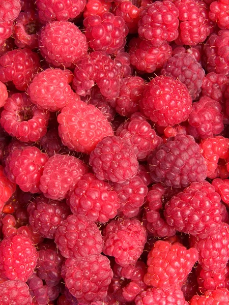 Raspberry berries — Stock Photo, Image