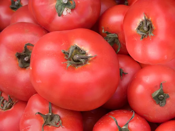 Zeleniny rajčata červená — Stock fotografie