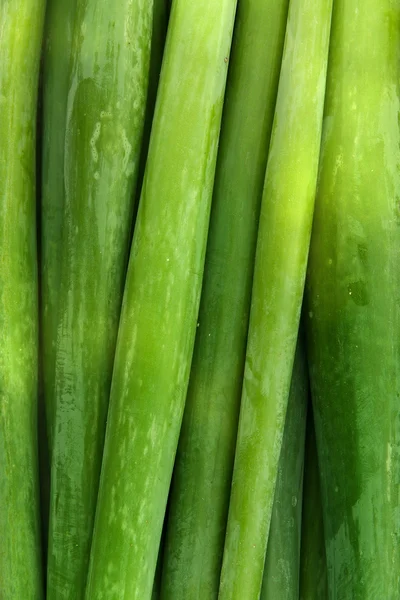 Gemüsezwiebeln — Stockfoto