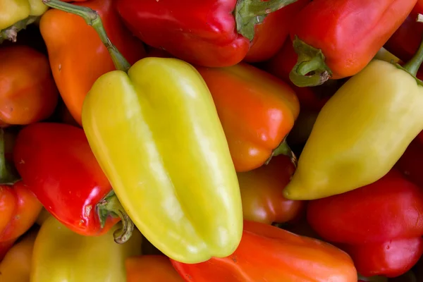 Λαχανικά πιπέρι φρέσκο — Φωτογραφία Αρχείου