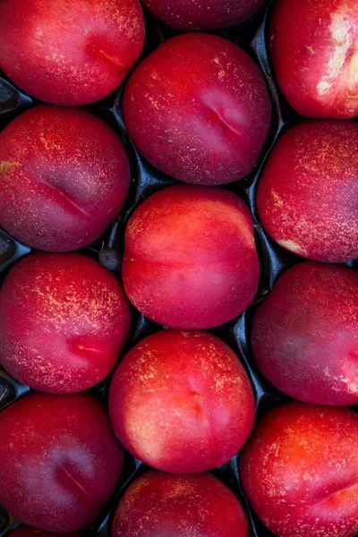 Hybridní broskev ovocné meruňkové — Stock fotografie