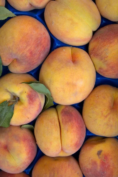 Pesche da frutto fresche mature — Foto Stock
