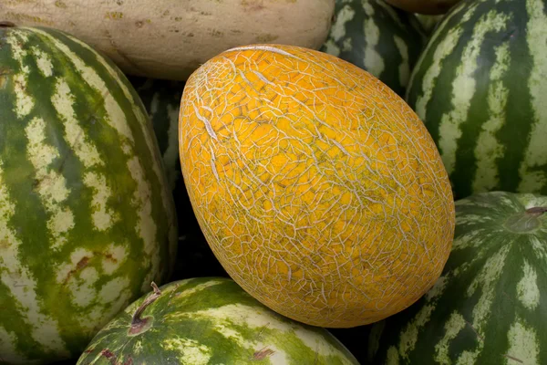 stock image Fruit melon fresh ripe