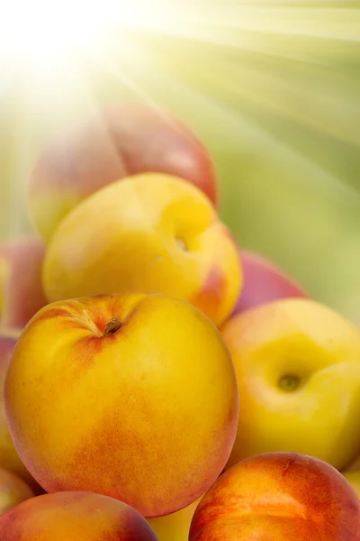 Frucht Hybrid Pfirsich Aprikose Nektarine — Stockfoto
