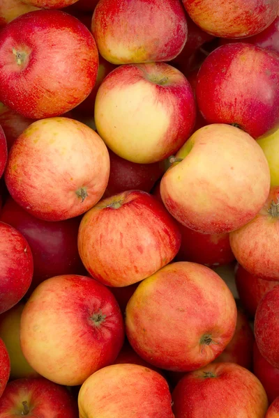 Čerstvé ovoce jablka — Stock fotografie