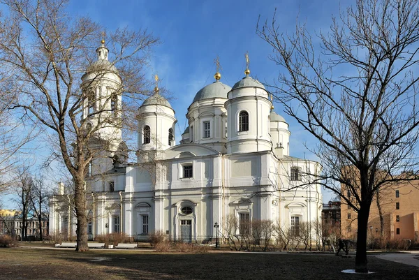 Catedral del Príncipe Vladimir —  Fotos de Stock