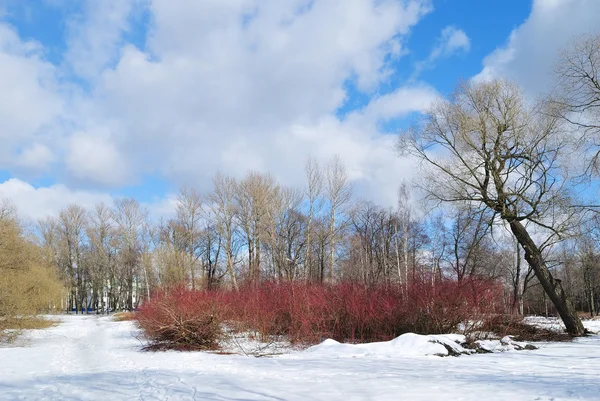 구름과 봄 풍경 — 스톡 사진