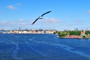 Stockholm kadar yelken