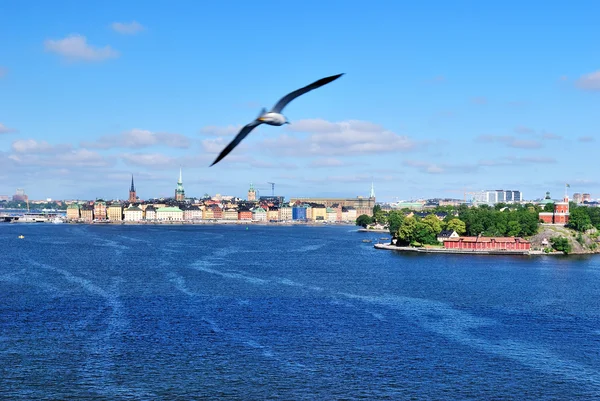 Sailing up to Stockholm — Stock Photo, Image