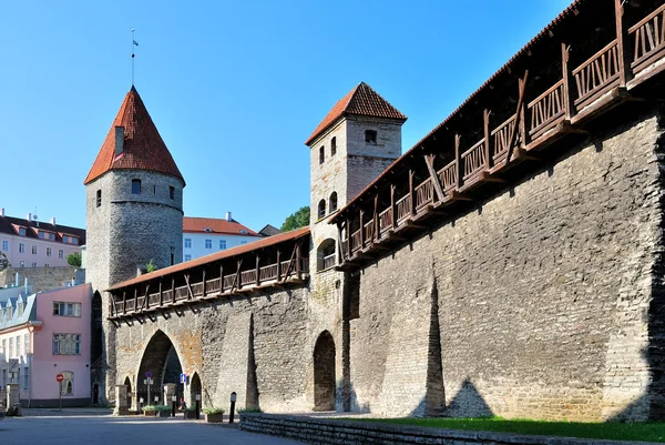 Tallinn, Estonya. Antik kale duvarı — Stok fotoğraf