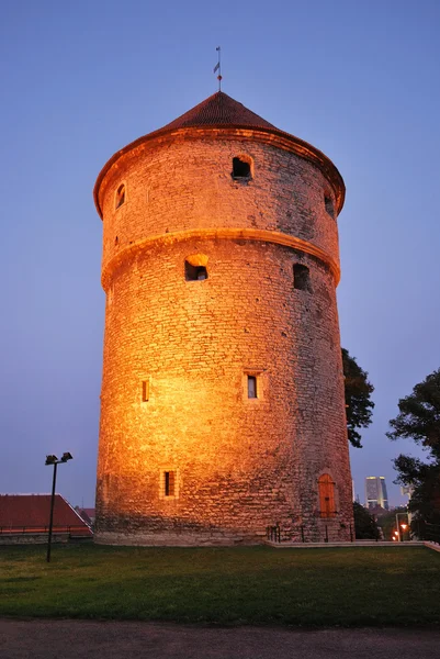 Таллинн, башня Пик-ин-де-Кек — стоковое фото