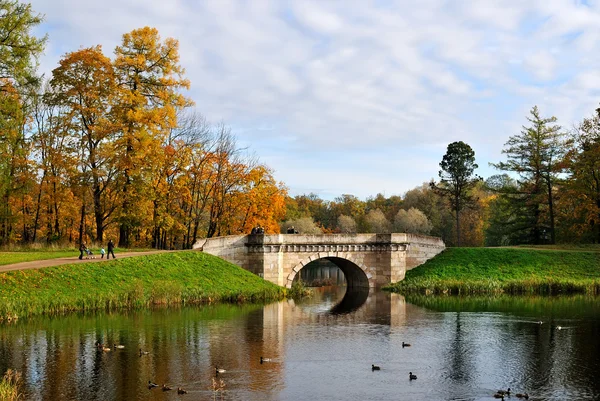 Gatchina Park in autunno — Foto Stock