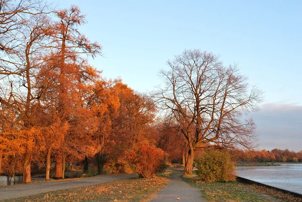 Jesień parku na zachodzie słońca — Zdjęcie stockowe