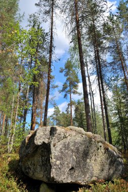 Reserve Kolovesi. Finland clipart