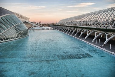 kleine balerinasSanat ve bilim, valencia şehir