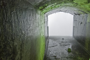 Niagara Falls, Amerika Birleşik Devletleri