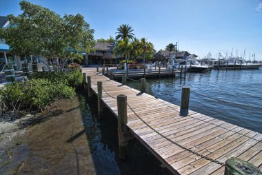 miami, florida sokaklarını