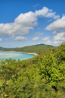 Whitehaven Plajı, queensland, Avustralya