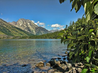 Grand Teton Ulusal Parkı, Wyoming