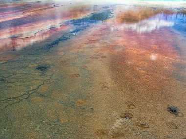 Yellowstone Şofben