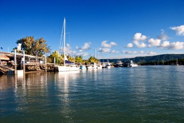 Coast near Port Douglas in Queensland clipart