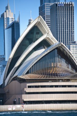 Sydney harbour, Ağustos 2009