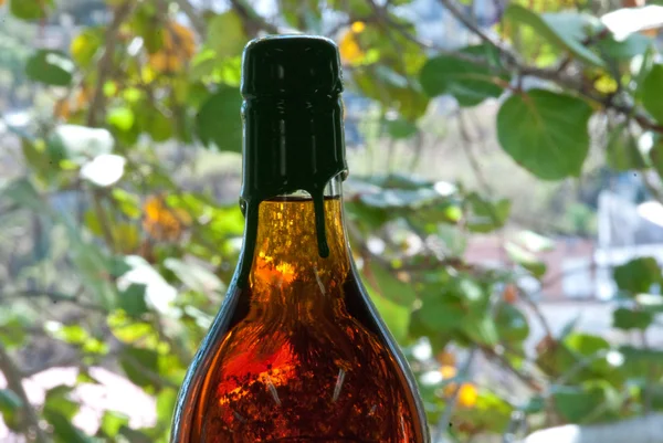 Пляшки вина в Санкт Thomas — стокове фото
