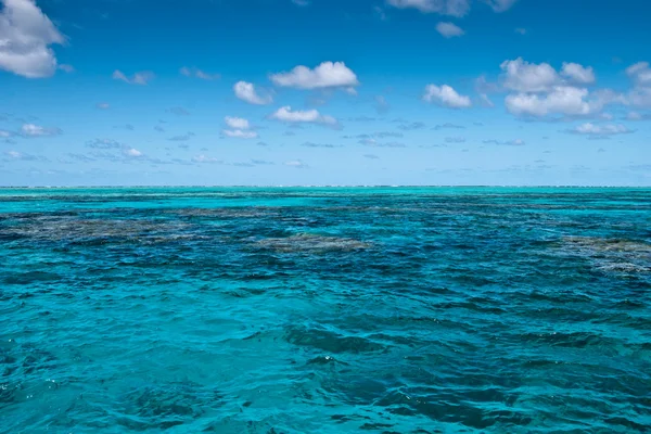 Povrch Velkého bariérového útesu — Stock fotografie