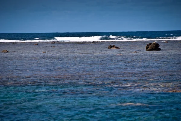Scena podwodna Wielkiej Rafy Koralowej — Zdjęcie stockowe