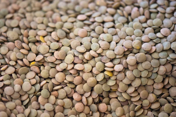 stock image Lentils Bucket