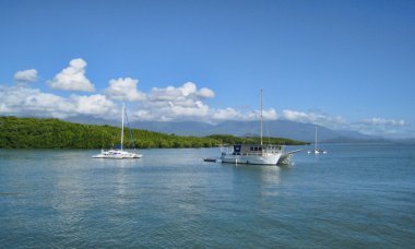 Coast near Port Douglas in Queensland clipart