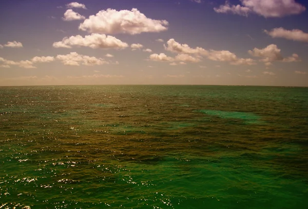 Oppervlakte van het great barrier reef in de buurt van port doug — Stockfoto