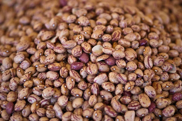 Beans Bucket — Stock Photo, Image