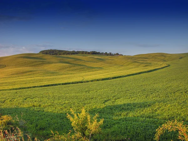 Toscaanse platteland, Italië — Stockfoto