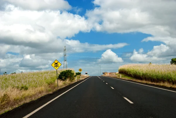 Közúti jelzőtáblák, Queensland — Stock Fotó