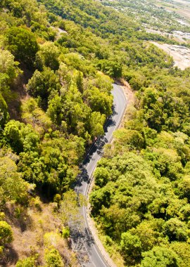 Rain Forest on the road to Kuranda clipart