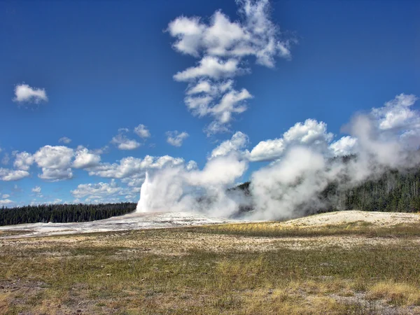 Stary Wierny, Park Narodowy Yellowstone — Zdjęcie stockowe