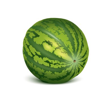 Vector watermelon clipart