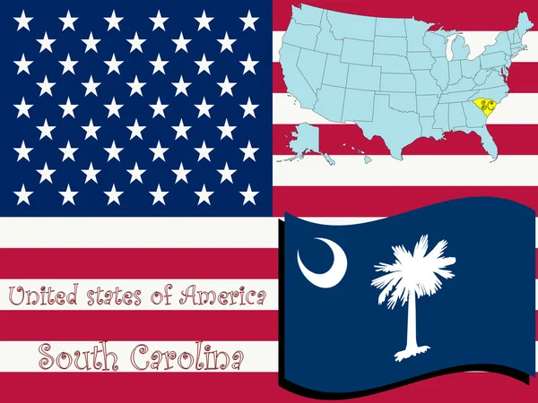 Illustration de l'État de Caroline du Sud — Image vectorielle
