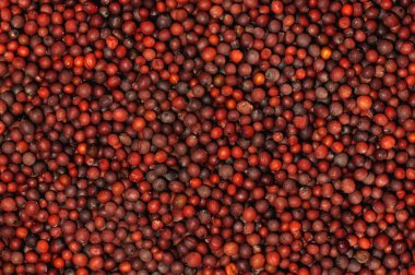 Mustard Seeds clipart