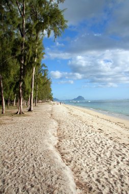 mauritius tropikal plaj