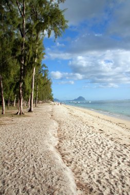 Tropical beach of Mauritius clipart